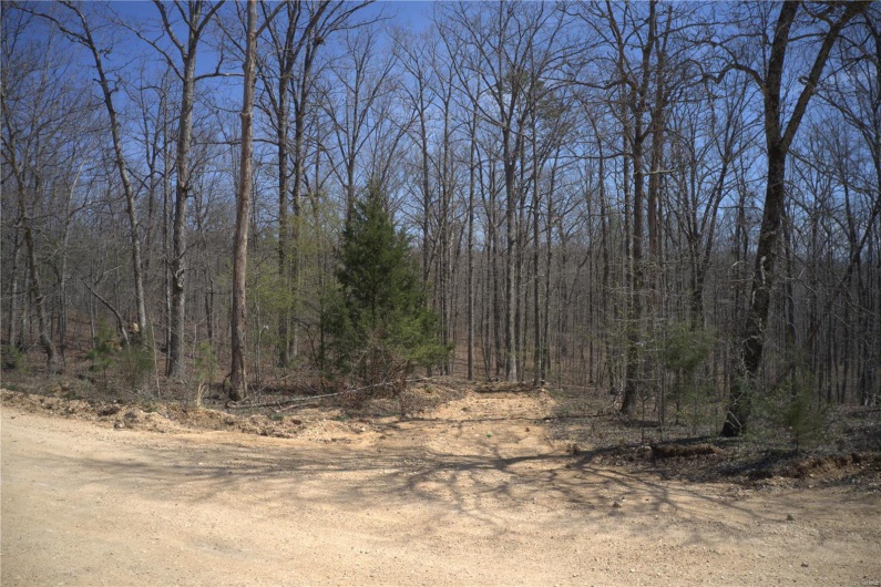 0 Hidden Vly Lks, Annapolis, Missouri 63620, ,Farm,For Sale,Hidden Vly Lks,MAR25023992