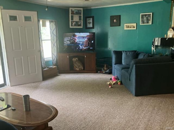 Carpeted living area featuring crown molding