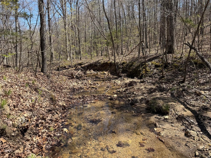 1 Off FSR 2531, Belleview, Missouri 63623, ,Farm,For Sale,Off FSR 2531,MAR25023262