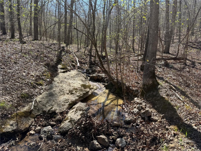 1 Off FSR 2531, Belleview, Missouri 63623, ,Farm,For Sale,Off FSR 2531,MAR25023262