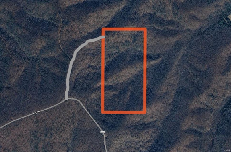 1 Off FSR 2531, Belleview, Missouri 63623, ,Farm,For Sale,Off FSR 2531,MAR25023262