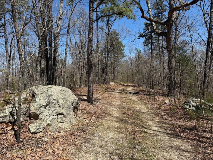 1 Off FSR 2531, Belleview, Missouri 63623, ,Farm,For Sale,Off FSR 2531,MAR25023262
