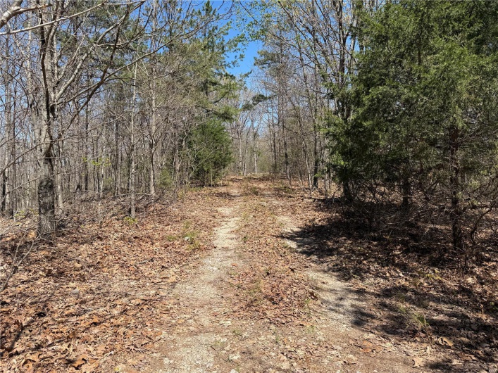 1 Off FSR 2531, Belleview, Missouri 63623, ,Farm,For Sale,Off FSR 2531,MAR25023262