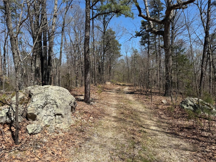 1 Off FSR 2531, Belleview, Missouri 63623, ,Farm,For Sale,Off FSR 2531,MAR25023262