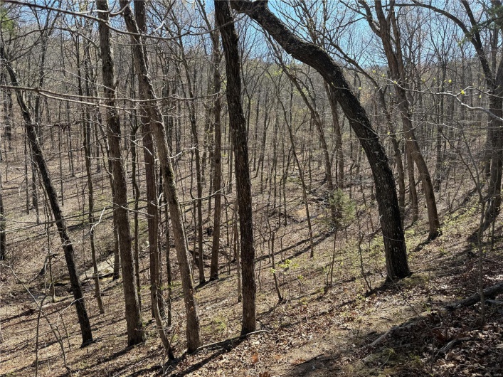 1 Off FSR 2531, Belleview, Missouri 63623, ,Farm,For Sale,Off FSR 2531,MAR25023262