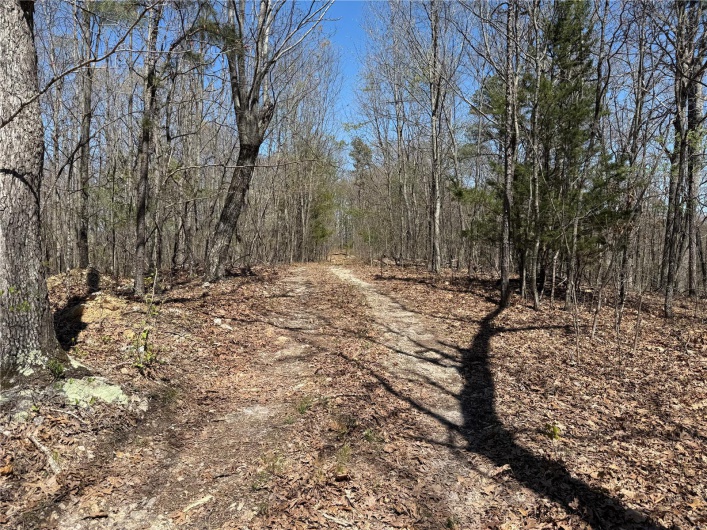 1 Off FSR 2531, Belleview, Missouri 63623, ,Farm,For Sale,Off FSR 2531,MAR25023262