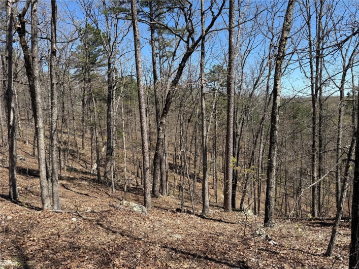 1 Off FSR 2531, Belleview, Missouri 63623, ,Farm,For Sale,Off FSR 2531,MAR25023262