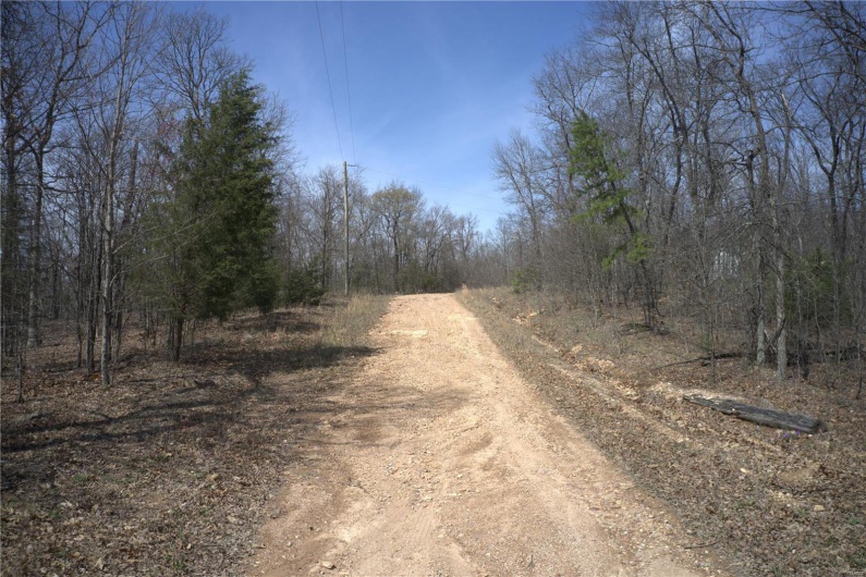 0 Timber Wolf Rd, Annapolis, Missouri 63620, ,Farm,For Sale,Timber Wolf Rd,MAR25024507