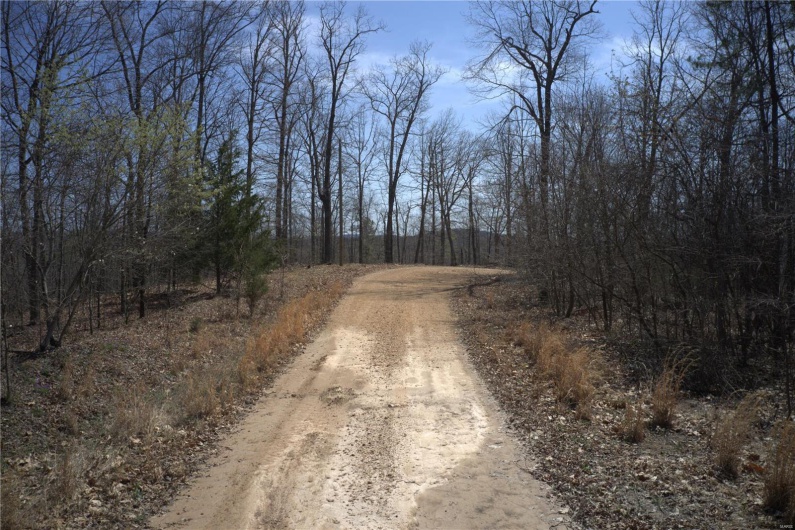 0 Timber Wolf Rd, Annapolis, Missouri 63620, ,Farm,For Sale,Timber Wolf Rd,MAR25024507