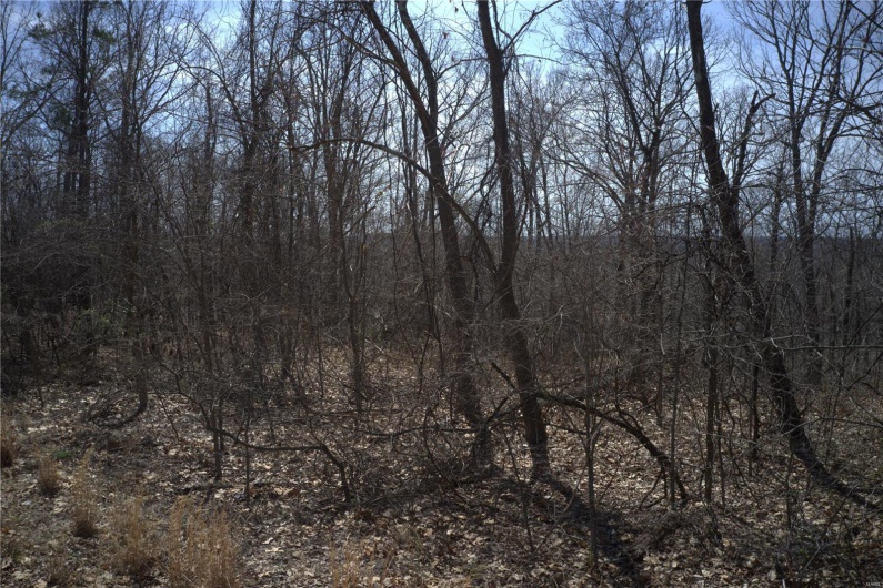 0 Timber Wolf Rd, Annapolis, Missouri 63620, ,Farm,For Sale,Timber Wolf Rd,MAR25024507