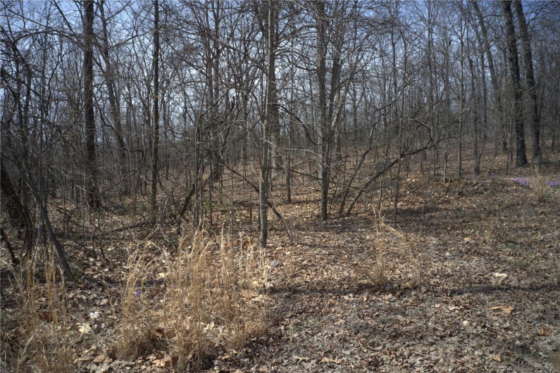 0 Timber Wolf Rd, Annapolis, Missouri 63620, ,Farm,For Sale,Timber Wolf Rd,MAR25024507