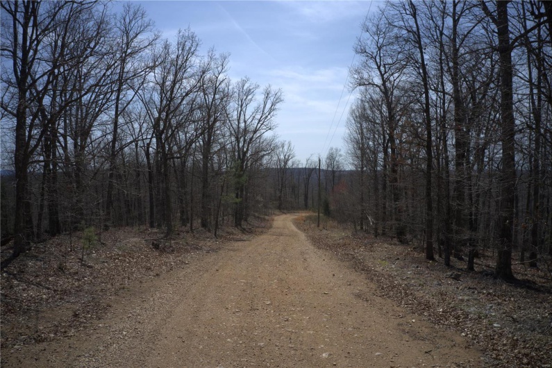 0 Timber Wolf Rd, Annapolis, Missouri 63620, ,Farm,For Sale,Timber Wolf Rd,MAR25024507