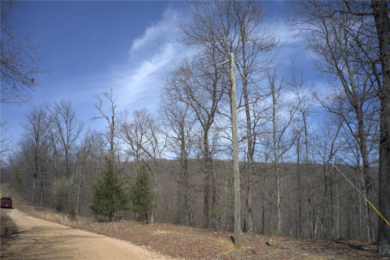 0 Timber Wolf Rd, Annapolis, Missouri 63620, ,Farm,For Sale,Timber Wolf Rd,MAR25024507
