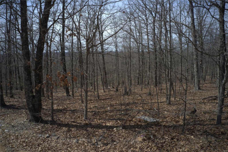 0 Timber Wolf Rd, Annapolis, Missouri 63620, ,Farm,For Sale,Timber Wolf Rd,MAR25024507