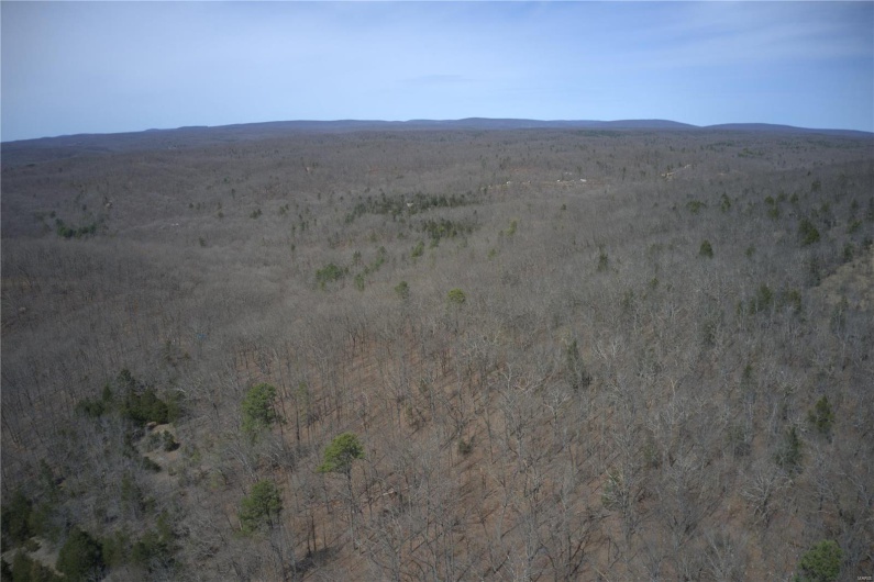 0 Timber Wolf Rd, Annapolis, Missouri 63620, ,Farm,For Sale,Timber Wolf Rd,MAR25024507