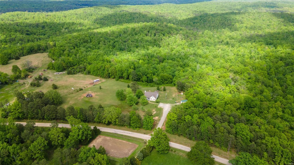 Aerial view of a forest