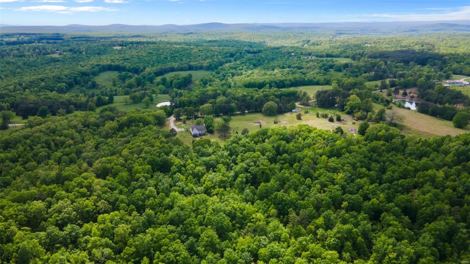 Aerial view of a heavily wooded area and a mountainous background