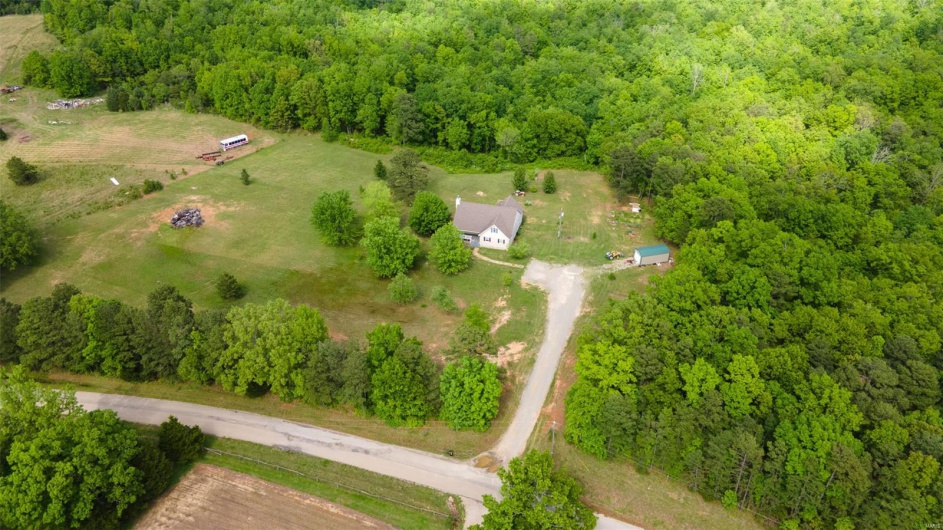 Aerial view of a forest