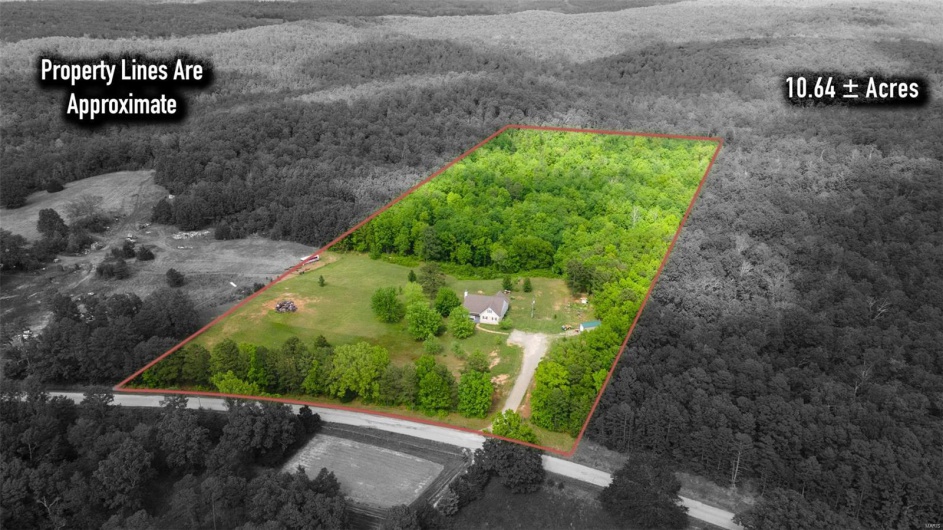 Aerial view of property and surrounding area featuring property boundaries highlighted and a heavily wooded area