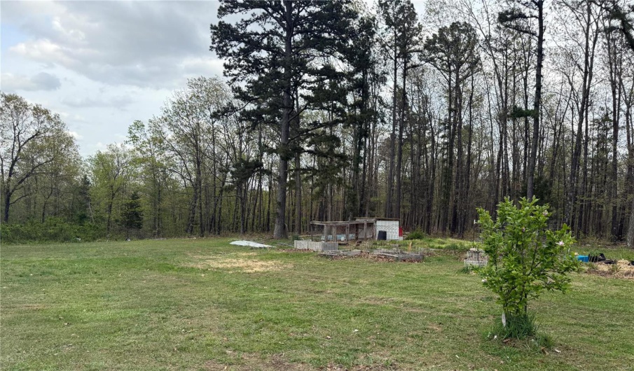 View of yard with a view of trees