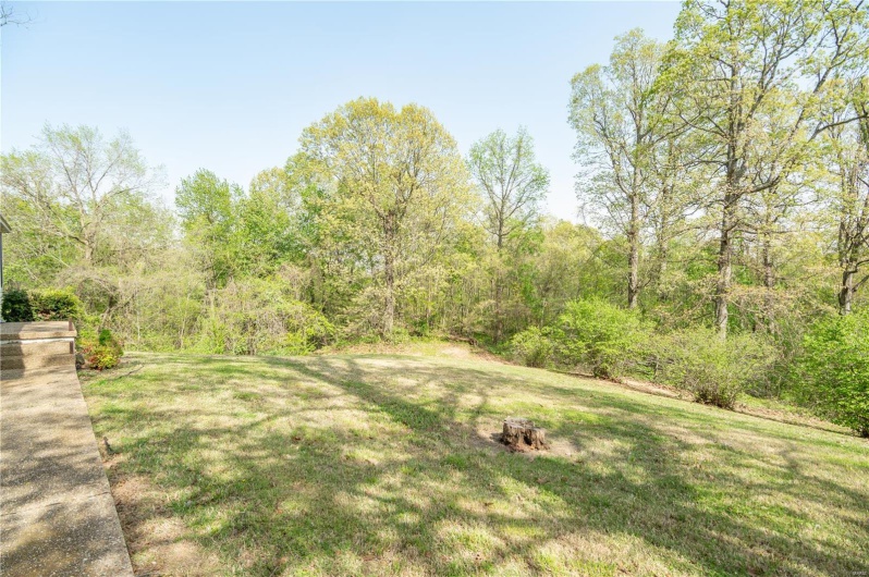 16747 Chalk Bluff Trail, Dexter, Missouri 63841, 4 Bedrooms Bedrooms, 10 Rooms Rooms,3 BathroomsBathrooms,Residential,For Sale,Chalk Bluff,MAR25024786