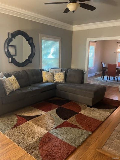 Living room featuring ceiling fan, wood-type flooring, and ornamental molding