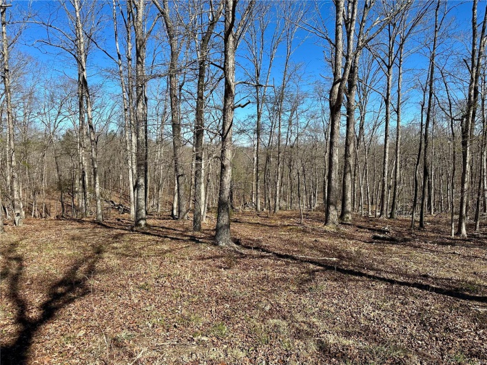 172 State Park Road, Williamsville, Missouri 63967, ,Land,For Sale,State Park,MAR25024828