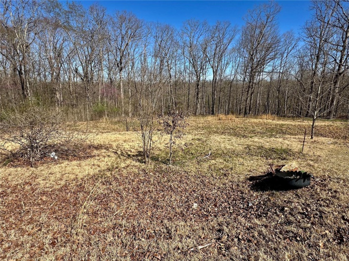 172 State Park Road, Williamsville, Missouri 63967, ,Land,For Sale,State Park,MAR25024828
