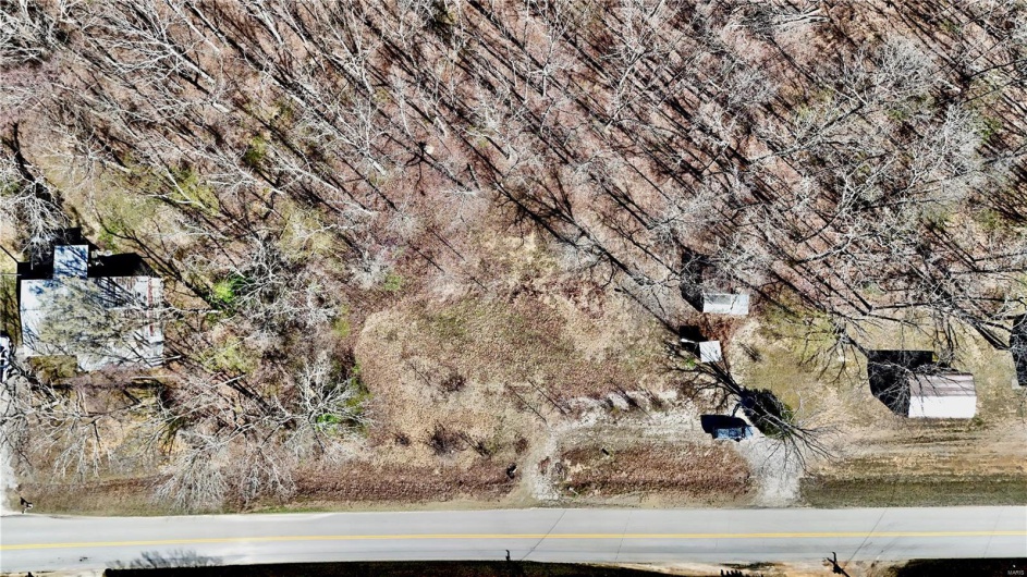 172 State Park Road, Williamsville, Missouri 63967, ,Land,For Sale,State Park,MAR25024828