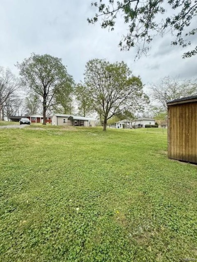 View of back of house from backyard. 