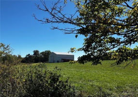 0 Mulberry Street, Bismarck, Missouri 63624, ,Farm,For Sale,Mulberry,MAR24064498