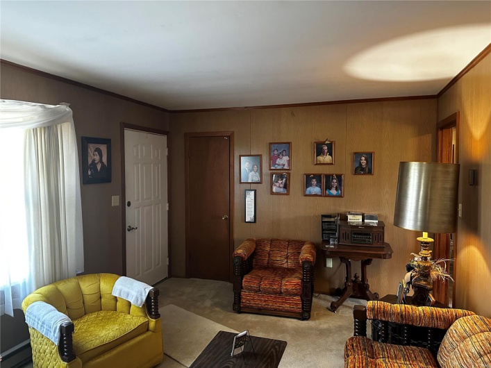 Carpeted living room featuring wooden walls and crown molding