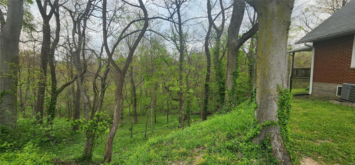 View of landscape with a view of trees