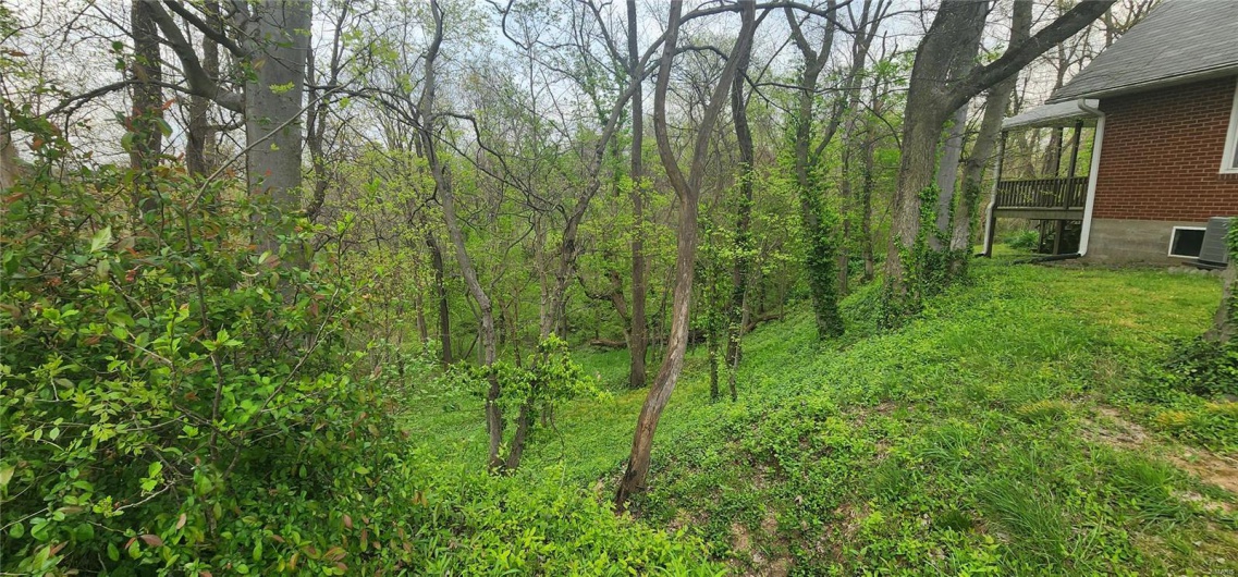 View of landscape