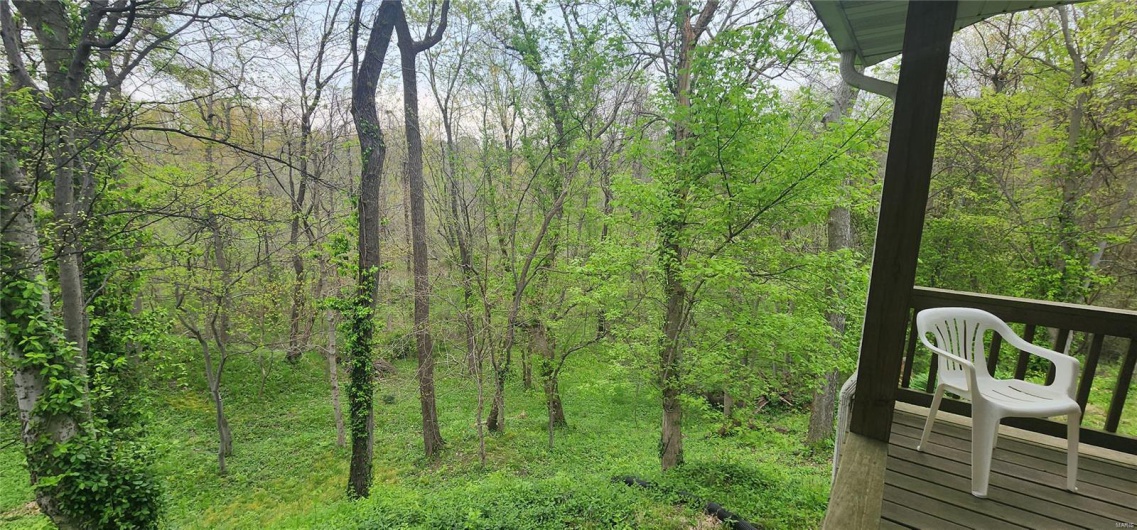 View of local wilderness featuring a wooded view