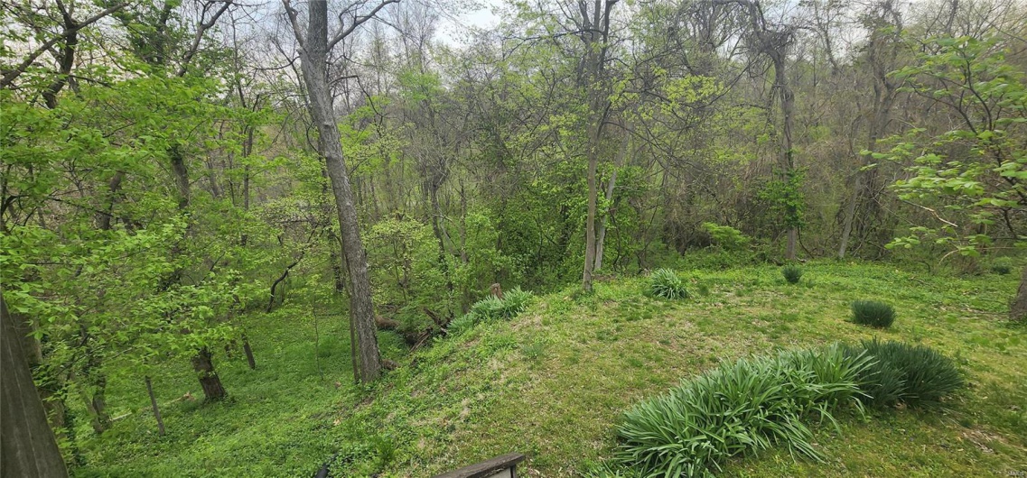View of nature featuring a view of trees