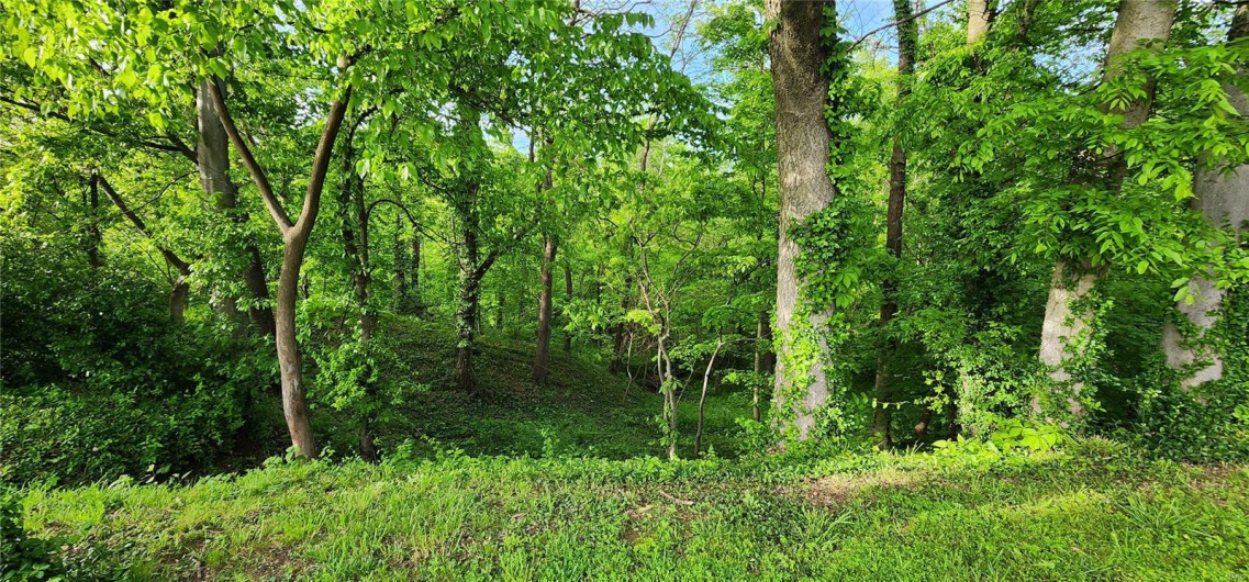 View of wooded area