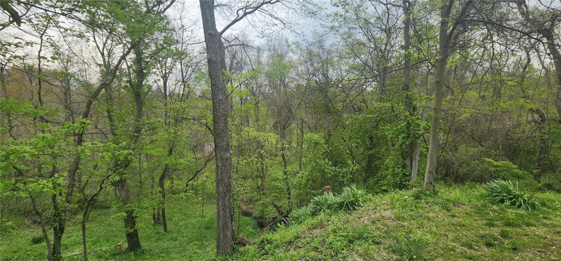 View of landscape featuring a view of trees