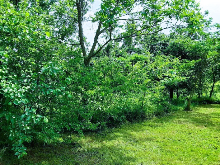 View of nature