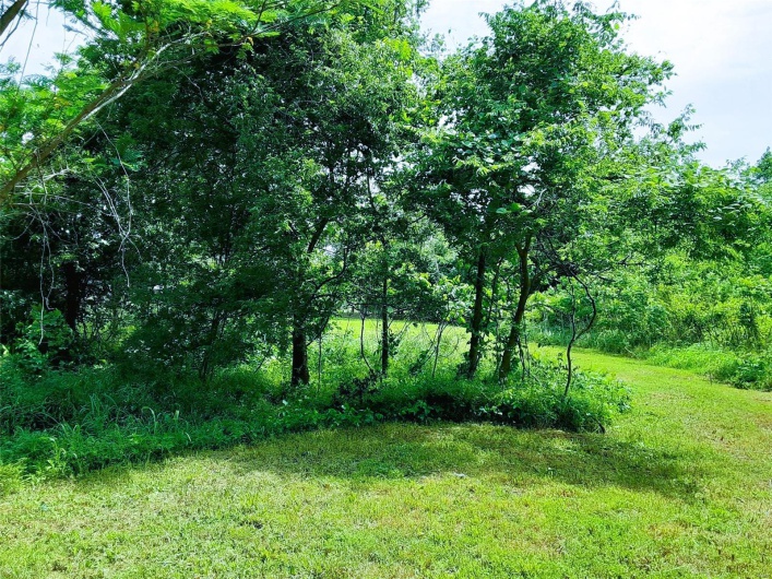 View of yard featuring a view of trees