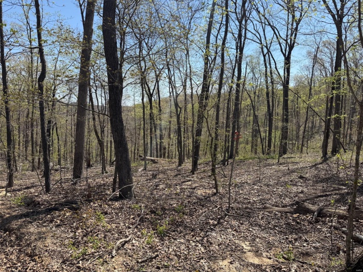 0 Bcr 300, Marble Hill, Missouri 63764, ,Farm,For Sale,Bcr 300,MAR25024829