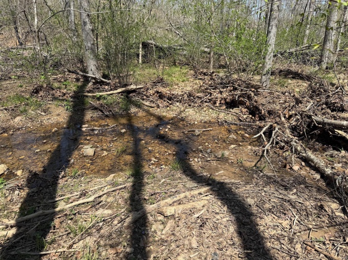 0 Bcr 300, Marble Hill, Missouri 63764, ,Farm,For Sale,Bcr 300,MAR25024829