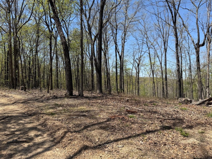 0 Bcr 300, Marble Hill, Missouri 63764, ,Farm,For Sale,Bcr 300,MAR25024829