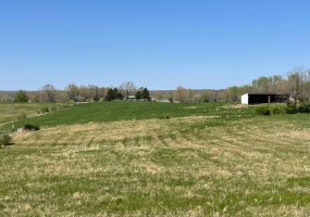 0 Highway V, Poplar Bluff, Missouri 63901, ,Farm,For Sale,Highway V,MAR25025116
