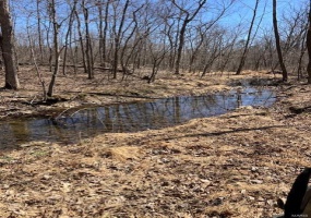 161 Madison CR 410, Fredericktown, Missouri 63645, ,Farm,For Sale,Madison CR 410,MAR25025174