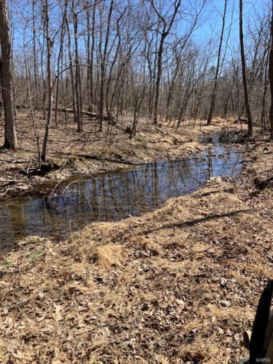 161 Madison CR 410, Fredericktown, Missouri 63645, ,Farm,For Sale,Madison CR 410,MAR25025174