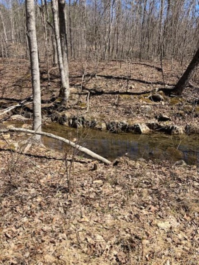 161 Madison CR 410, Fredericktown, Missouri 63645, ,Farm,For Sale,Madison CR 410,MAR25025174
