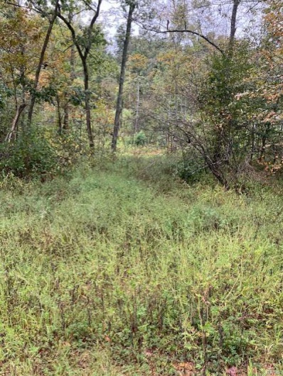 162 Madison CR 410, Fredericktown, Missouri 63645, ,Farm,For Sale,Madison CR 410,MAR25025186
