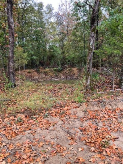 162 Madison CR 410, Fredericktown, Missouri 63645, ,Farm,For Sale,Madison CR 410,MAR25025186