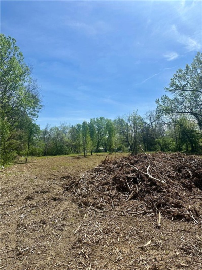 2 Potosi Street, Farmington, Missouri 63640, ,Land,For Sale,Potosi,MAR25025261